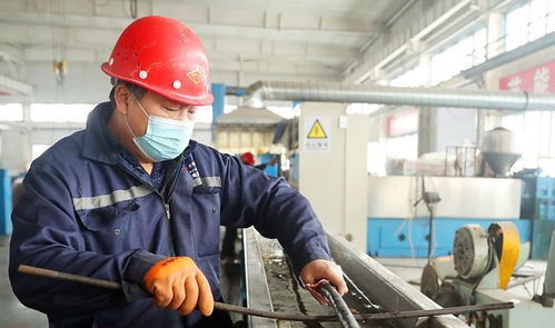 越底層的人越要學(xué)英語, 儲殷教授批判血汗工廠, 技工出路在國外