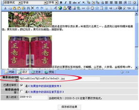 網(wǎng)站建設(shè)的專業(yè)選擇 從國(guó)外空間租用到圖片顯示問(wèn)題的全面解析
